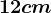 12 cm