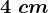 4 \; cm