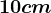 10 cm