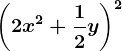 \left (2x^2+\frac12y \right )^2