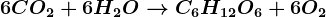 6CO2 + 6H2O --> C6H12O6+6O2