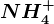 NH4^+