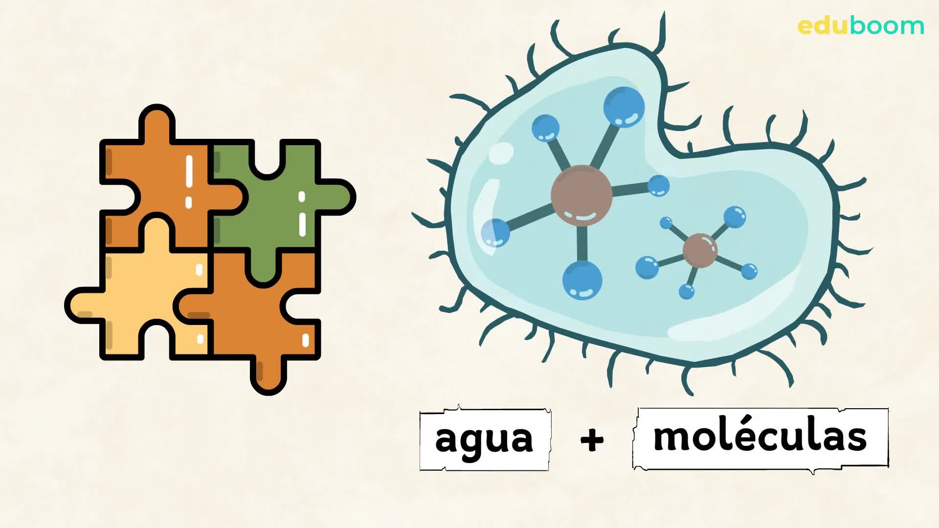 Videolección: La célula
