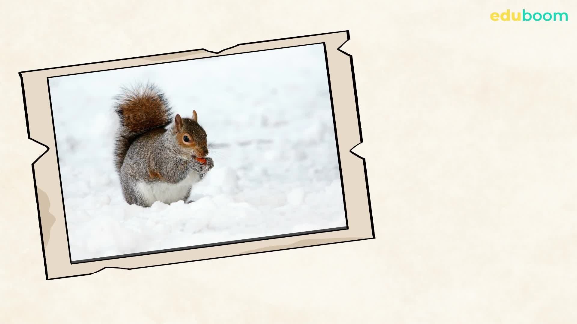 Qué Son Los Seres Vivos Ciencias De La Naturaleza 5 Primaria