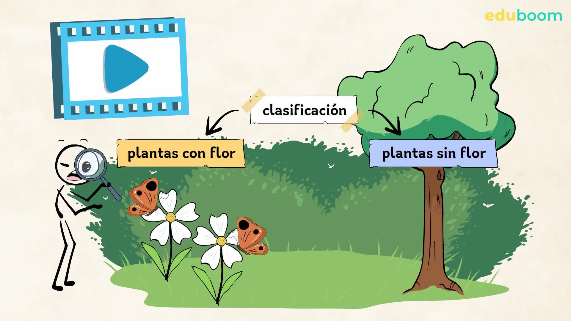 Grupos de plantas. Ciencias de la naturaleza 5 primaria