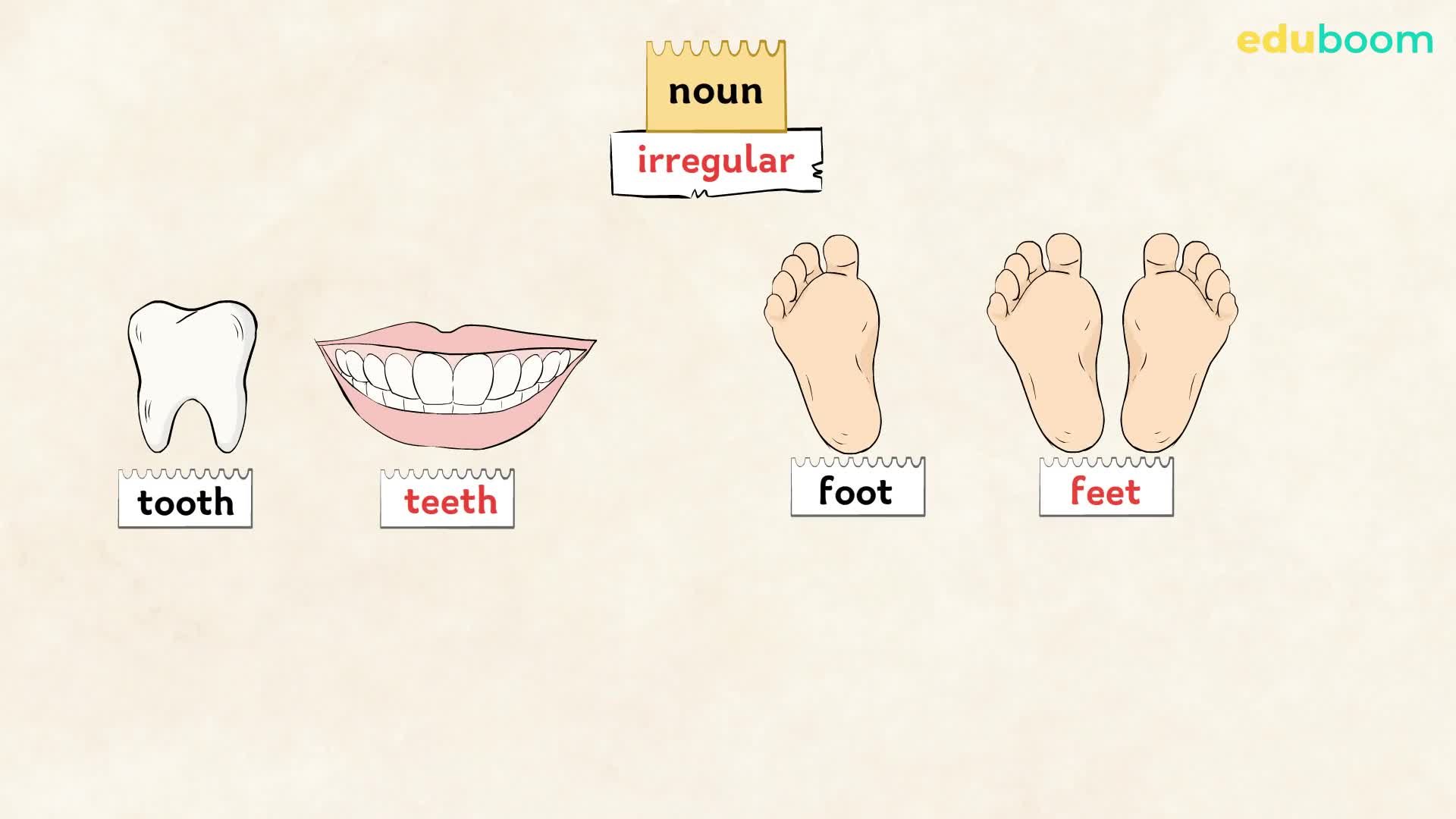 Plural forms. Inglés en inglés nivel A1